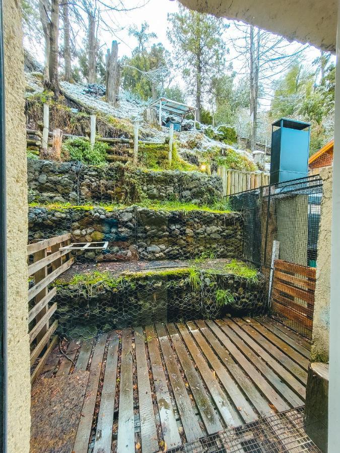 San Martín de los Andes Cabana Oasis De Bandurrias 빌라 외부 사진